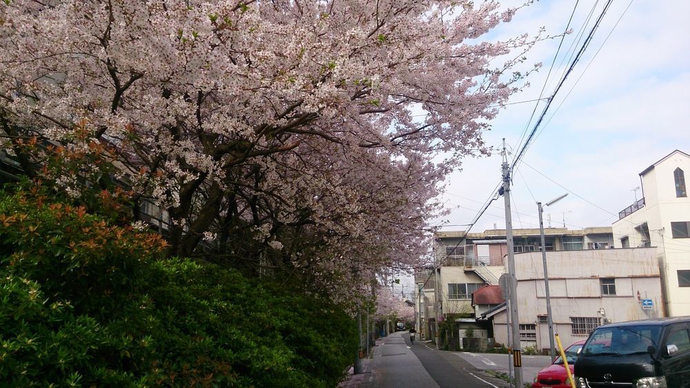 Shoei Daini Bekkan Kōchi Buitenkant foto