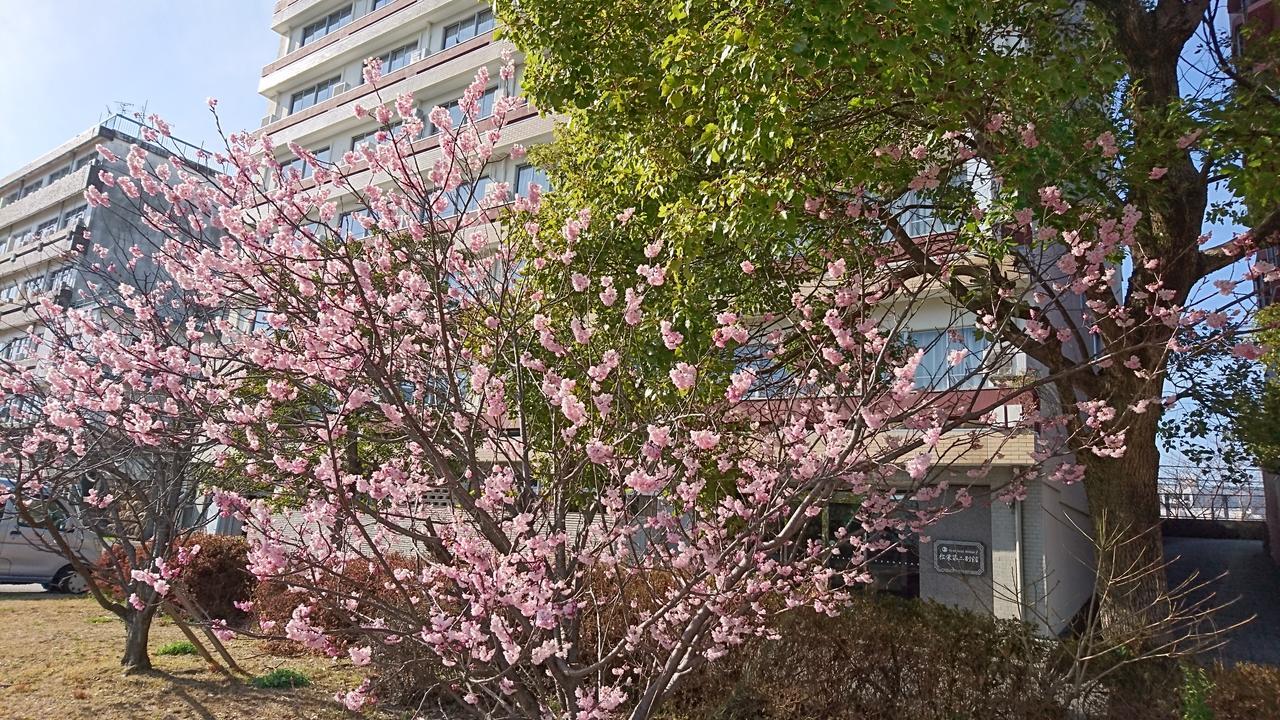 Shoei Daini Bekkan Kōchi Buitenkant foto